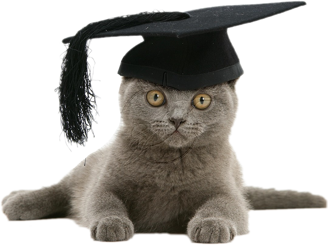 ftestickers cat graduation  FreeToEdit 